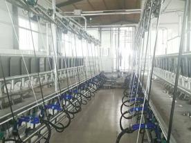 并列式奶山羊擠奶機（廳）