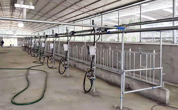 廣西水牛<a href=/ target=_blank class=infotextkey>擠奶機</a>