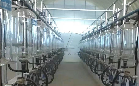 魚骨式計量瓶奶牛<a href=/ target=_blank class=infotextkey>擠奶機(jī)</a>