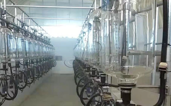 魚骨式計量瓶奶牛<a href=/ target=_blank class=infotextkey>擠奶機(jī)</a>