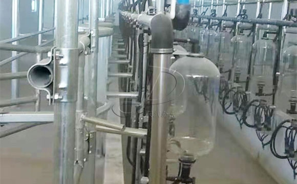 魚骨式計量瓶奶牛<a href=/ target=_blank class=infotextkey>擠奶機(jī)</a>